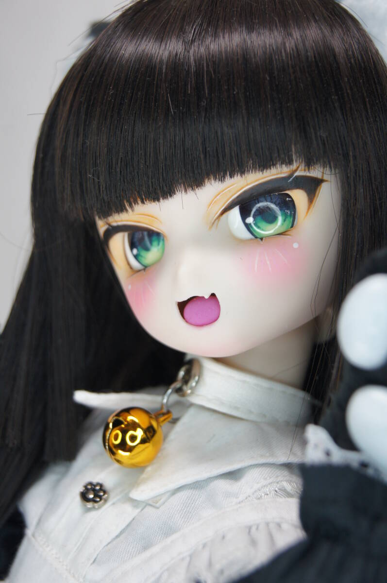 【燈籠茶屋】DDH-28 セミホワ カスタムヘッド+お試しアイ (難有り)拍卖