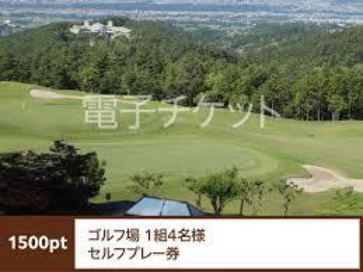 シャトレーゼ ゴルフ場 セルフプレー券 1500P拍卖
