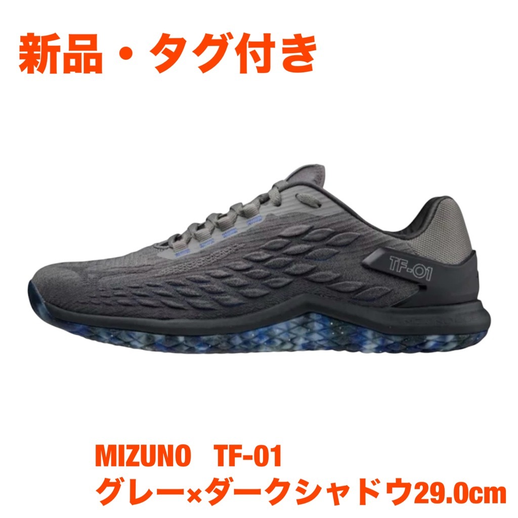 120【新品】MIZUNO TF-01 グレー×ダークシャドウ 29.0㎝拍卖