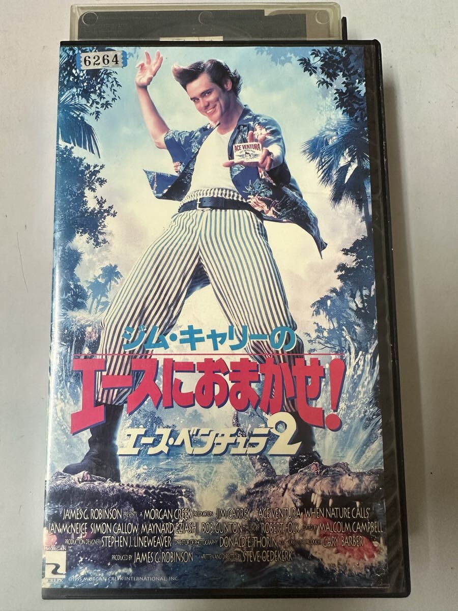 中古送料込み 希少VHSビデオジム・キャリーのエースにおまかせ! 日本語吹替版 VHS エース・ベンチュラ2拍卖
