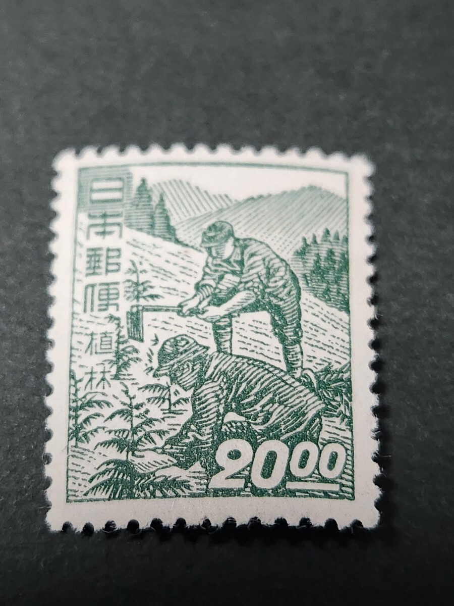 日本切手、 昭和すかしなし切手 植林20.00円未使用、NH、美品カタログ価格12000円拍卖