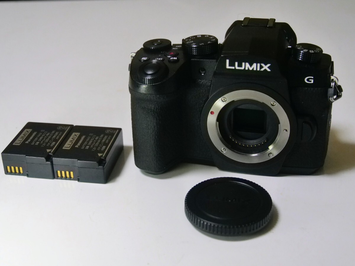 美品実動★Panasonic LUMIX DC-G99 他付属 ルミックス パナソニック 拍卖