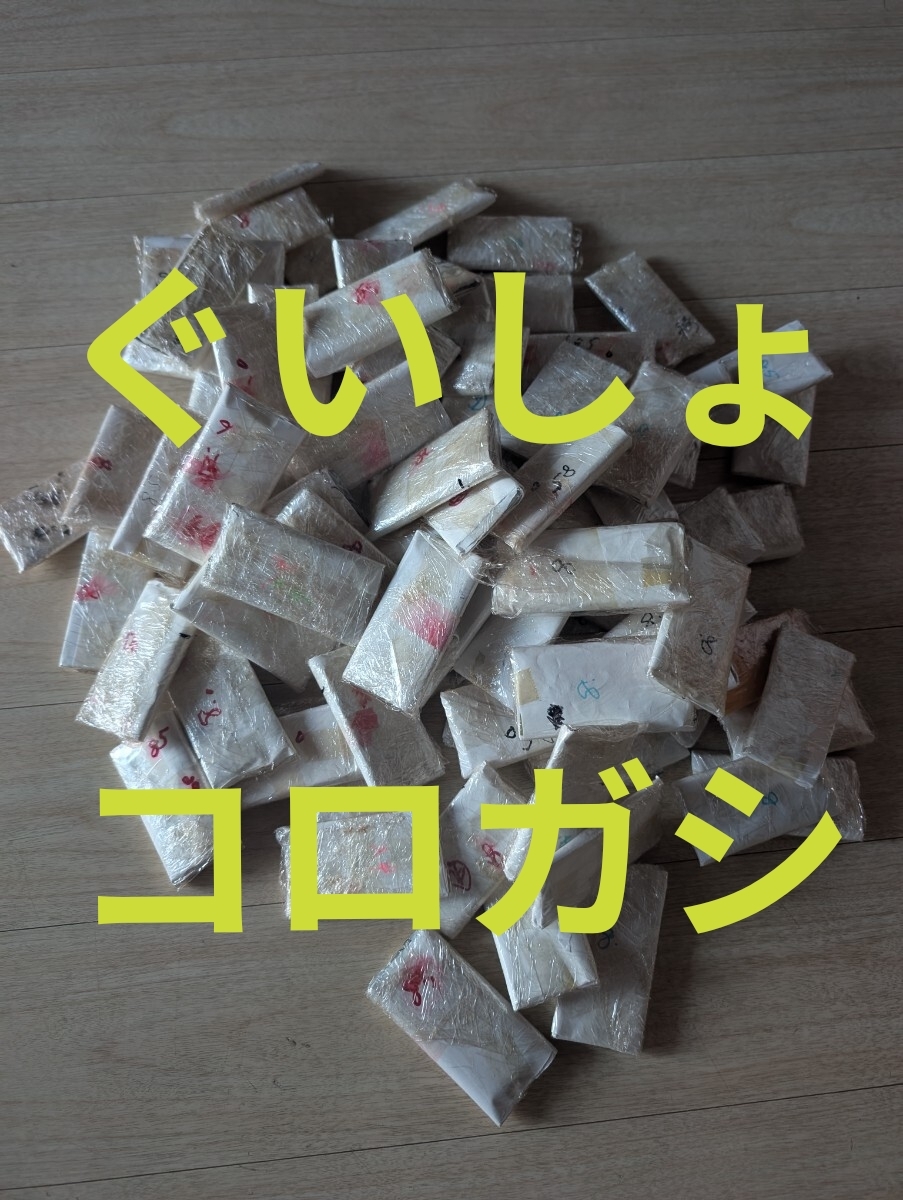 鮎 ぐいしょ コロガシ 両掛仕掛け 蝶針 大量拍卖