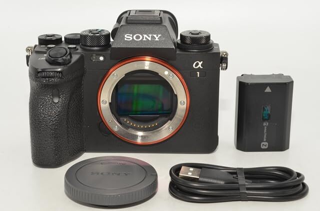 1024★良品・ショット数104回★SONY α1 ボディ ILCE-1拍卖