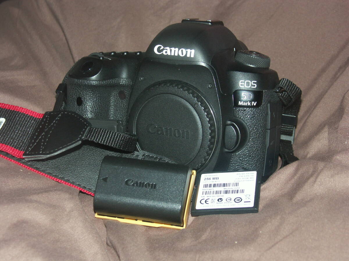 EOS 5D Mark IV ボディ★ピクチャースタイル特別DL仕様 大変綺麗 フルサイズデジタル一眼レフ★CANON キャノン 拍卖