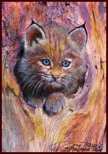 ☆☆☆☆☆オリジナル水彩画 あどけない仕草 「巣穴から覗くボブキャットの子」拍卖