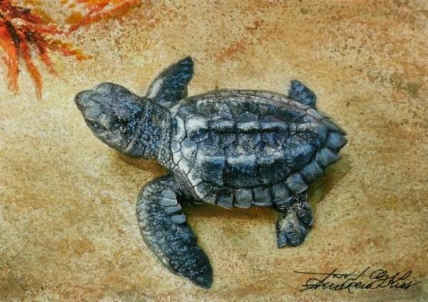 ☆☆☆☆☆オリジナル水彩画 可愛らしい 「孵化した子ガメ海藻食堂に向かう」拍卖