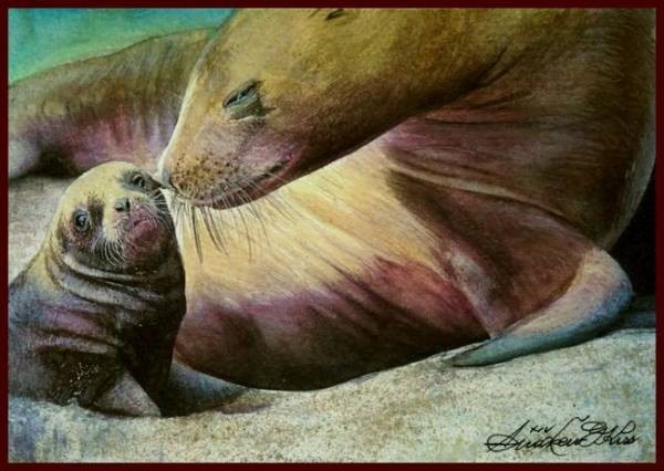 ☆☆☆☆☆水彩画 癒しの優しい表情  「子をあやす母アシカ」 DI15拍卖