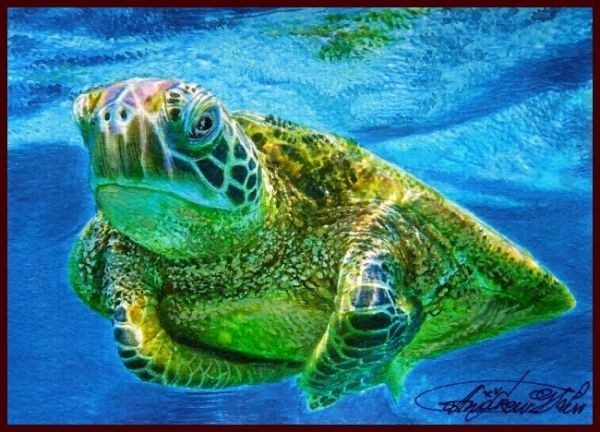 ☆☆☆オリジナル水彩画 のんびりゆったり 「海水面を泳ぐウミガメ」拍卖