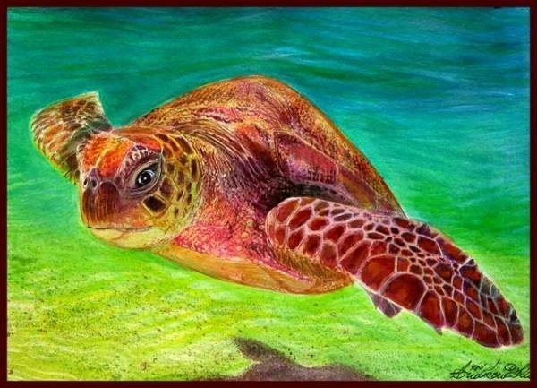 ☆☆☆☆☆オリジナル水彩画 貫禄たっぷり 「海の女王アオウミガメ」拍卖