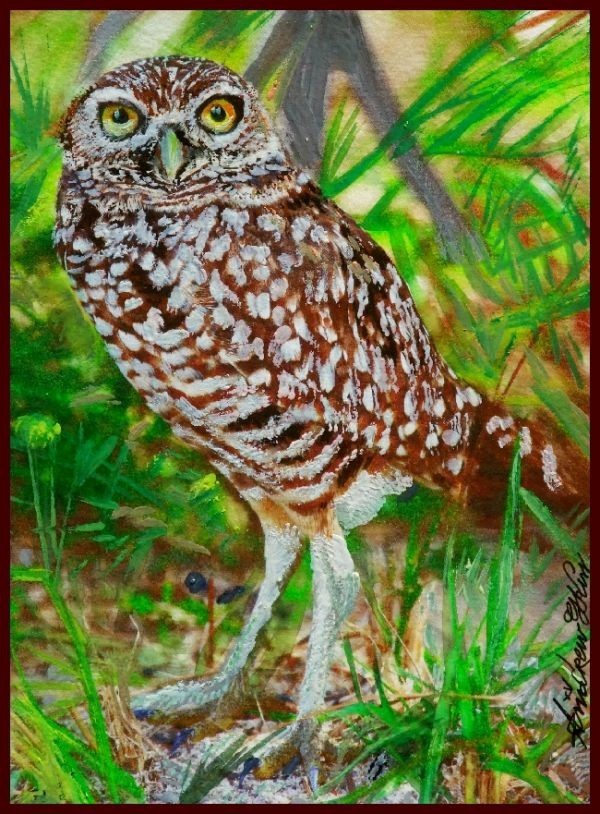 ☆☆☆水彩画 吃驚仰天 「驚く穴掘りフクロウ」拍卖