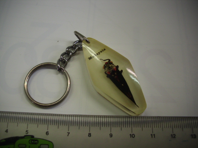 キーホルダー■マレーシア 虫? ■/#2683拍卖