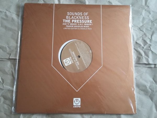 USMUS ★ 中古 LPレコード The Sounds of Blackness : The Pressure 1997年 12インチ ハウス Jazz n Groove, Frankie Knuckles拍卖
