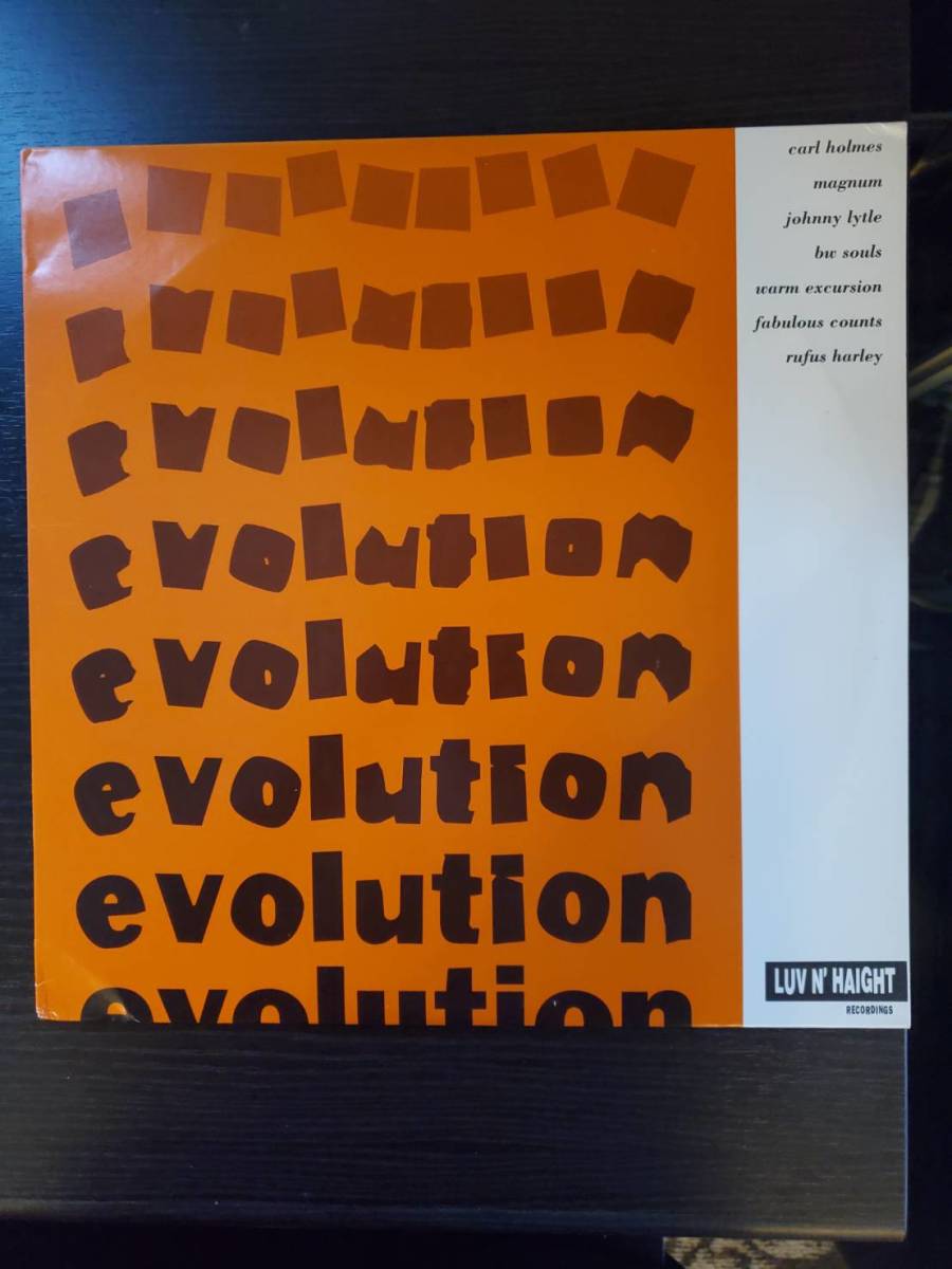 【LP盤】evolution LUV N' HAIGHT レコード LP0075拍卖