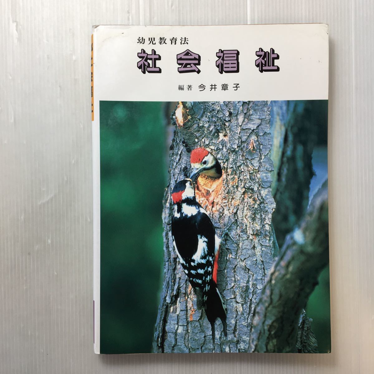 zaa-173♪社会福祉 幼児教育法(幼児教育法講座) 今井 章子 (編著)三晃書房 1995/2/10拍卖