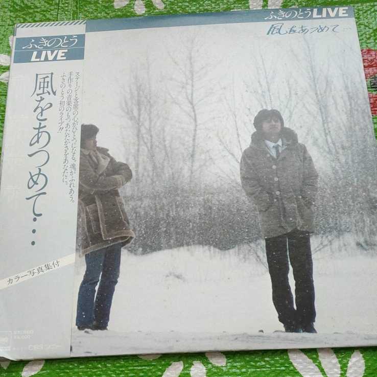 ふきのとう LIVE 風をあつめて 帯付き拍卖