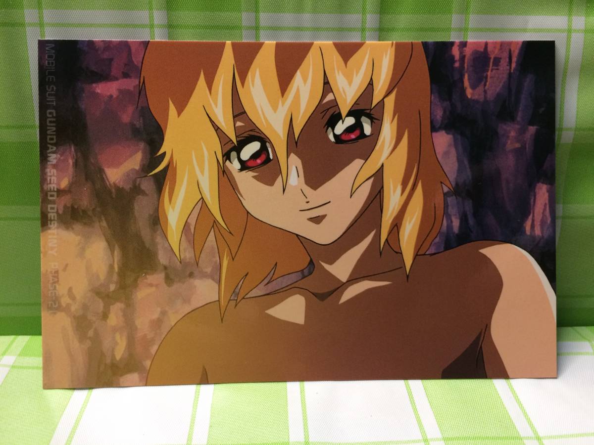 メガハウス 機動戦士ガンダムSEED DESTINY ステラ・ルーシェ 洞窟 フォトコレクション 080 フォト ブロマイド カード 絶版拍卖