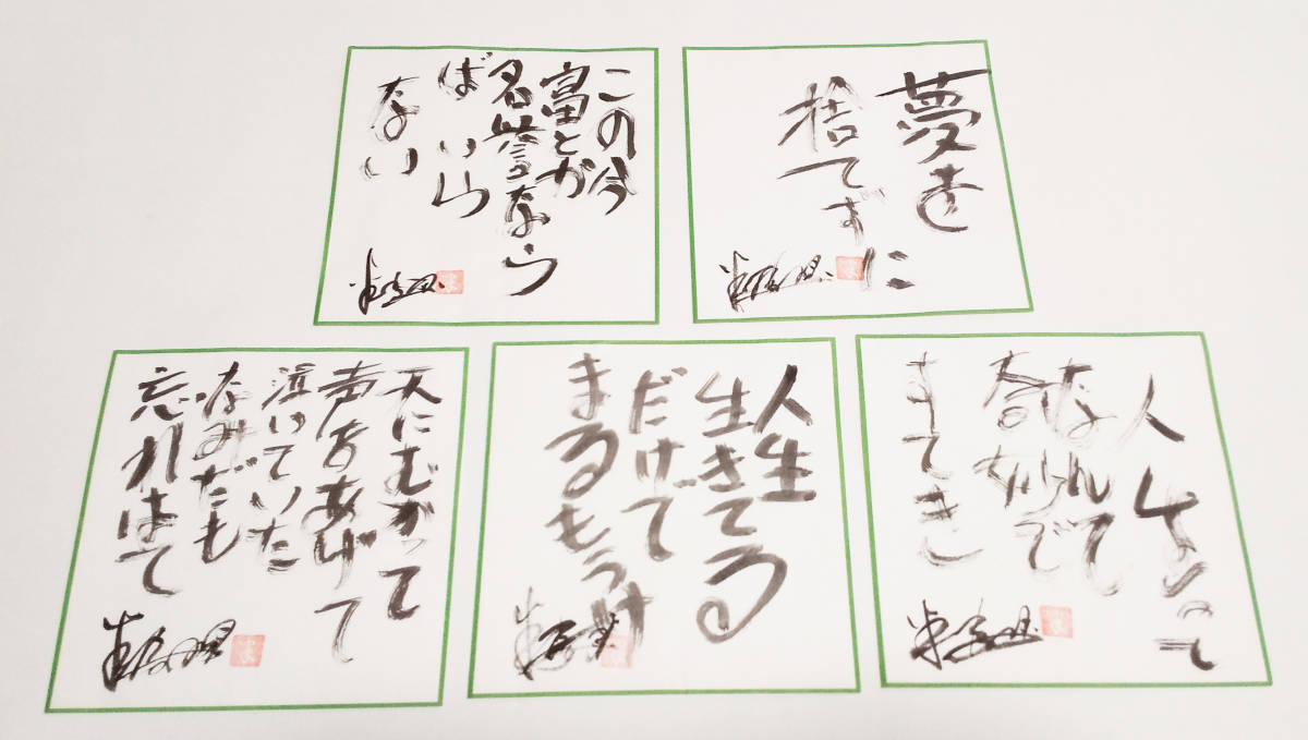 名言 毛筆 どなたの作品か判りません 長期保管品 拍卖