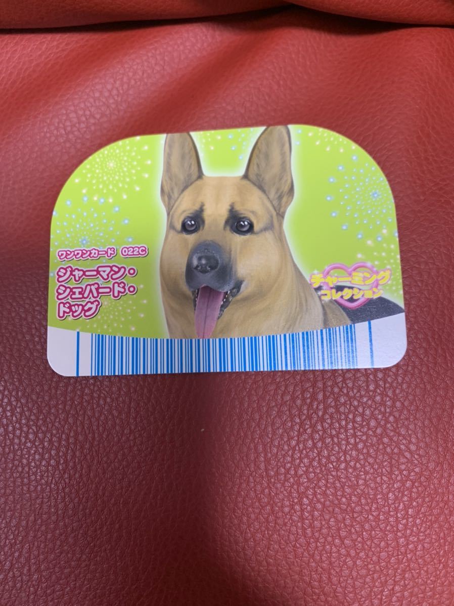 ワンワンカード ジャーマン・シェパード・ドッグ★犬拍卖