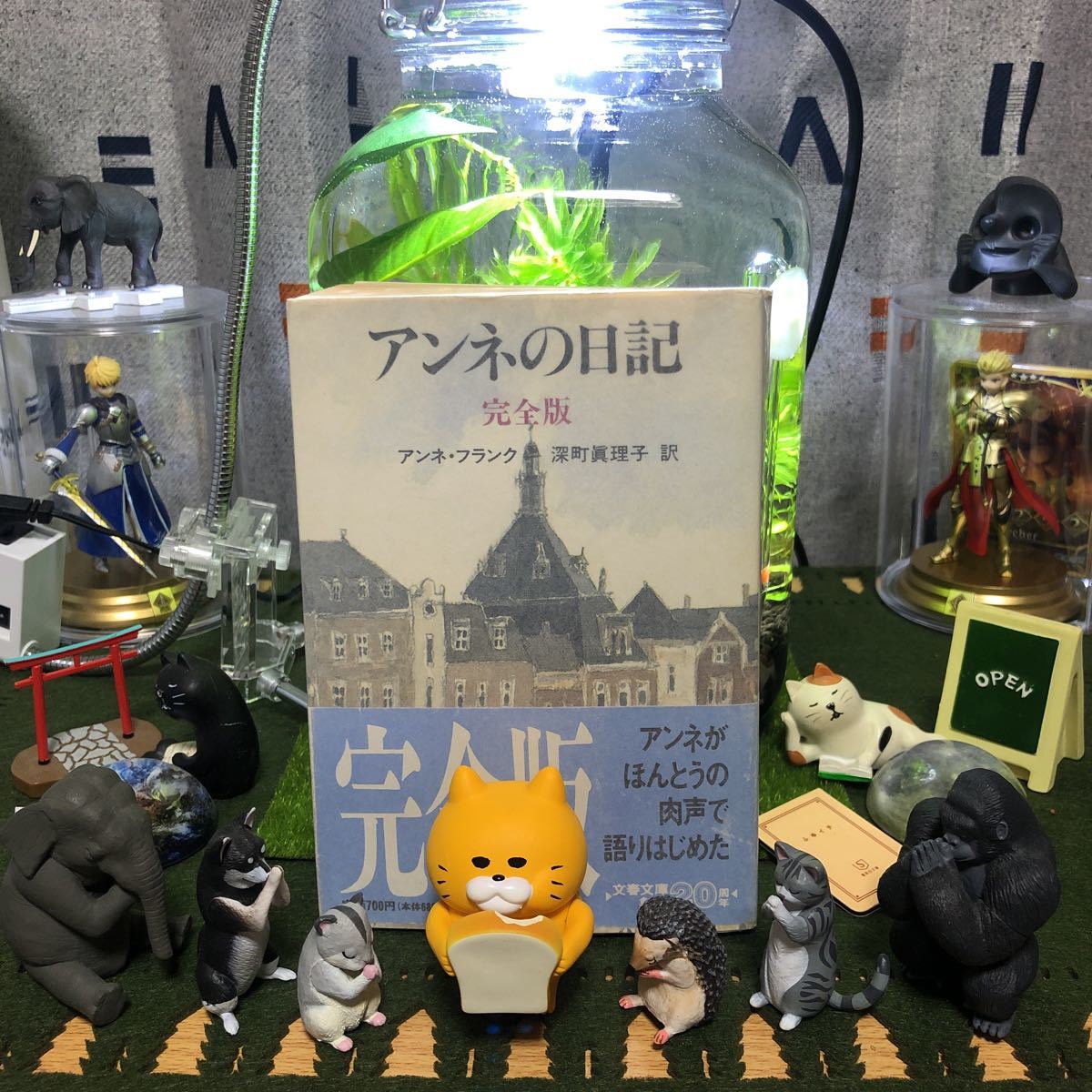 アンネの日記 アンネ・フランク 深町眞理子拍卖