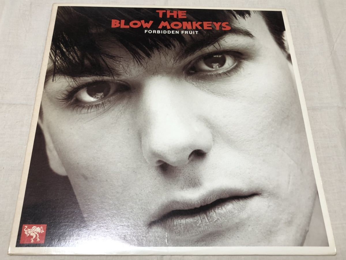 THE BLOW MONKEYS★ブロウモンキーズ★FORBIDDEN FRUIT★my america★wild flower★atomic lullaby★MFLI8527★12インチ★US盤★6曲収録拍卖