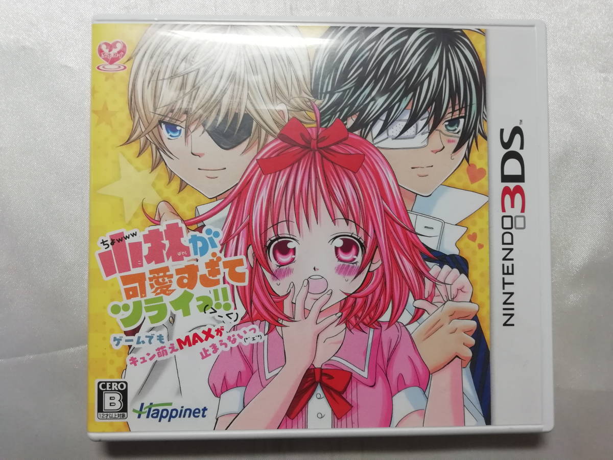 中古品 ニンテンドー3DSソフト 小林が可愛すぎてツライっ!!ゲームでもキュン萌えMAXが止まらないっ拍卖