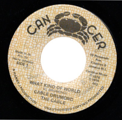What Kind Of World / Cable Drumond拍卖
