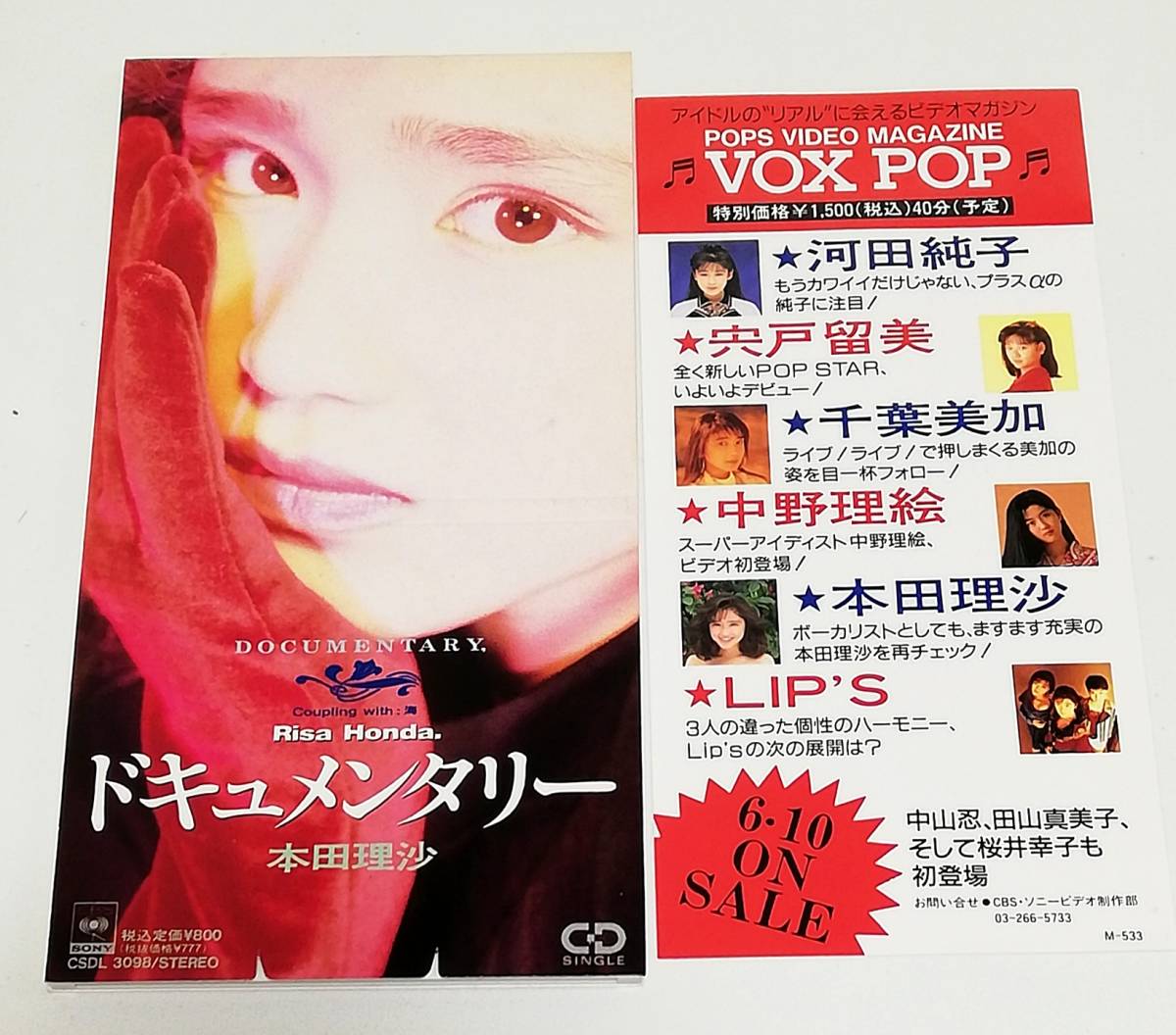 8cmCD 本田理沙 ドキュメンタリー/海 桑田佳祐(作詞作曲)/CSDL 3098拍卖