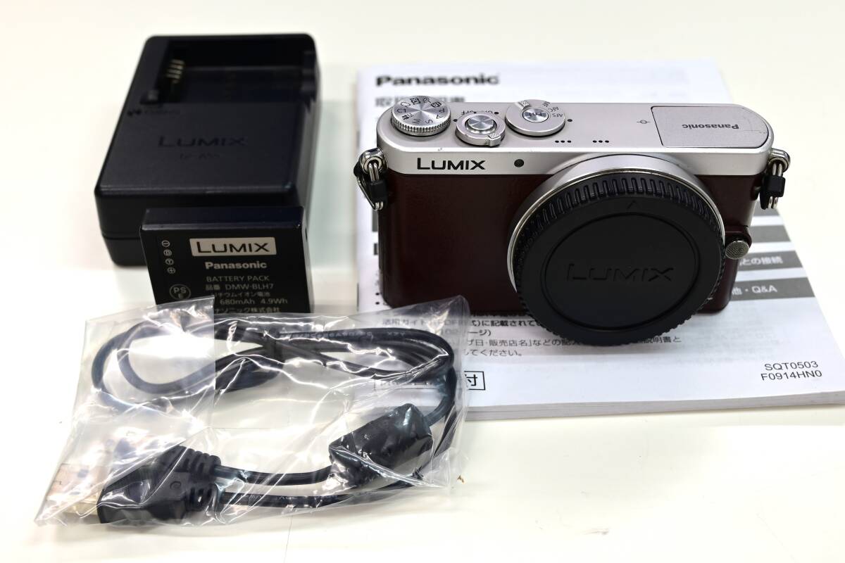 パナソニック Panasonic ミラーレス ルミックスLumix DMC-GM1SK レンズ付きH-H014 拍卖