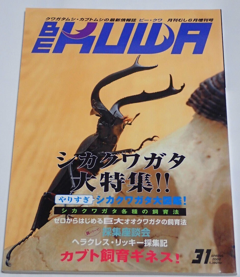 BE KUWA ビークワ No.31■シカクワガタ大特集|巨大オオクワ飼育法/やりすぎシカクワガタ大図鑑/ヘラクレス・リッキー採集記 むし社拍卖