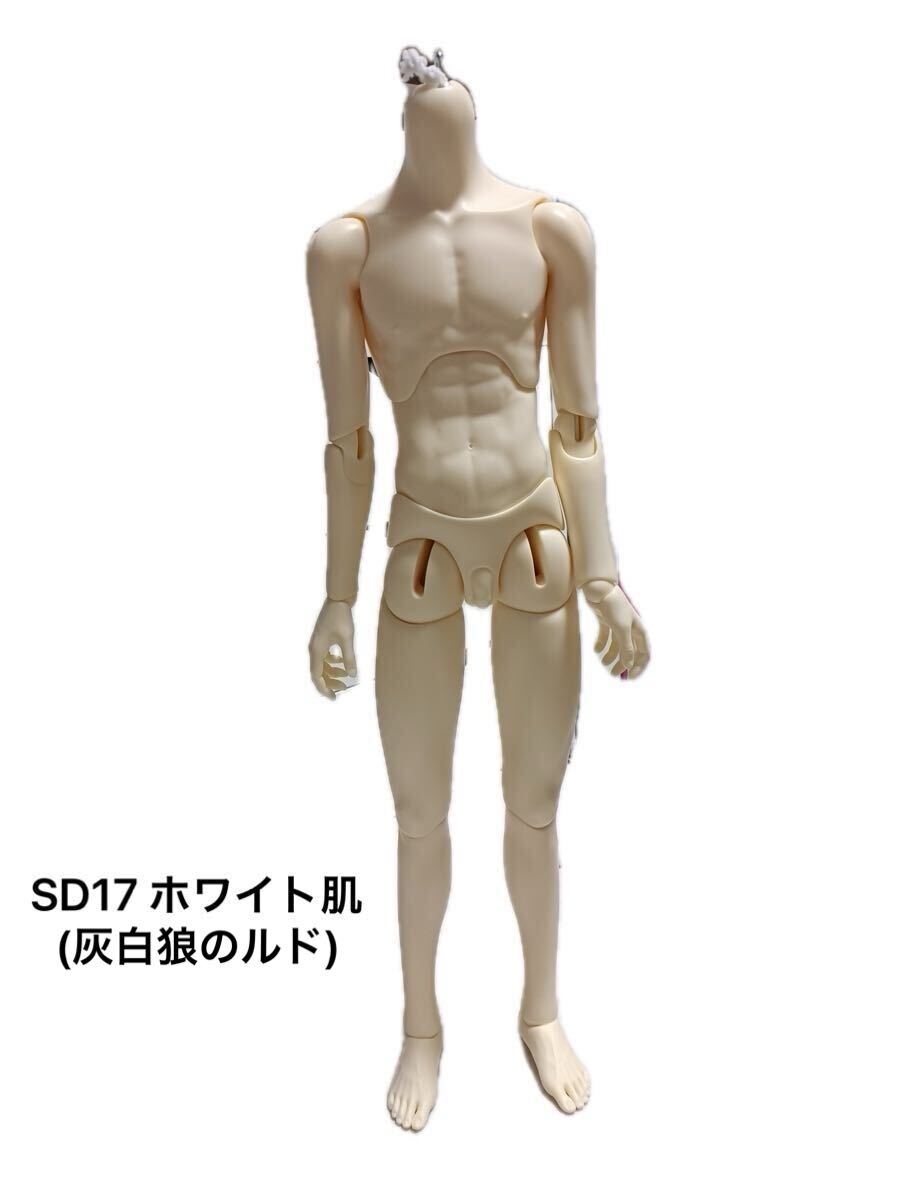 【美品】ボークス SD17 男の子 ボディ ホワイト肌 ルド Ludo BJD SD スーパードルフィー SDGr superdollfie 拍卖