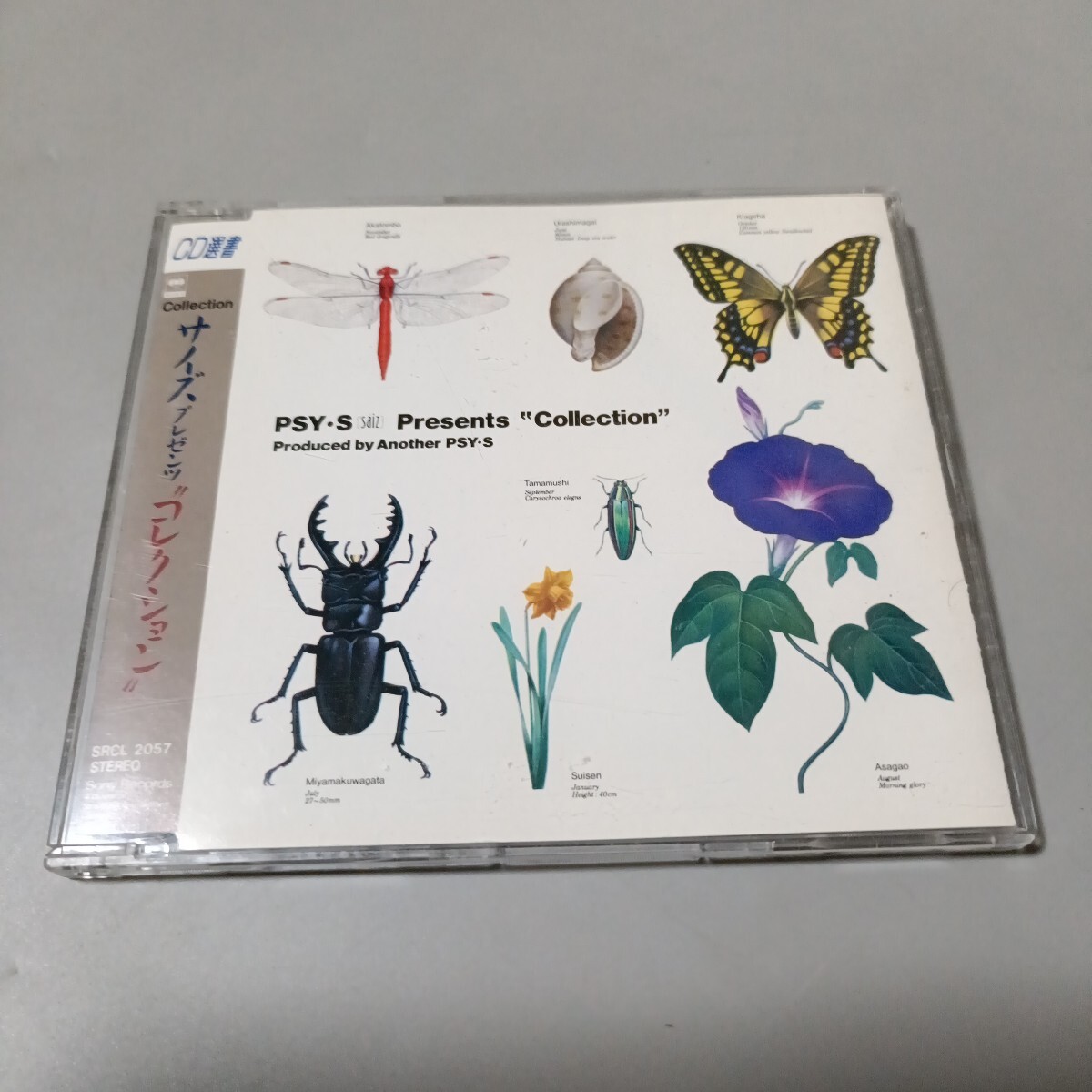 CD PSY・S コレクション CD選書 拍卖