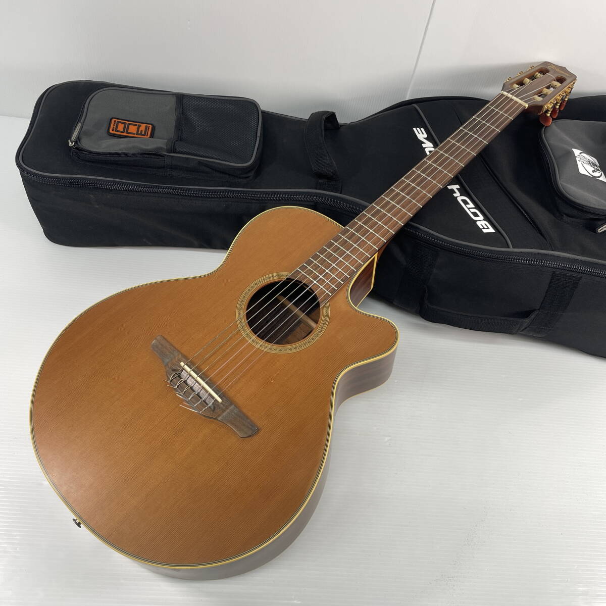 2605K0203 Takamine タカミネ エレアコ NPT-110N ソフトケース付 現状品 エレクトリックアコースティックギター拍卖