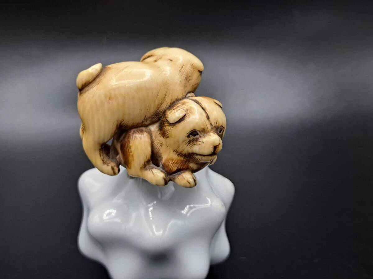 【8】19世紀~「斑子双犬」意匠 「蘭光」銘 京都派 天然素材根付 蘭亭拍卖