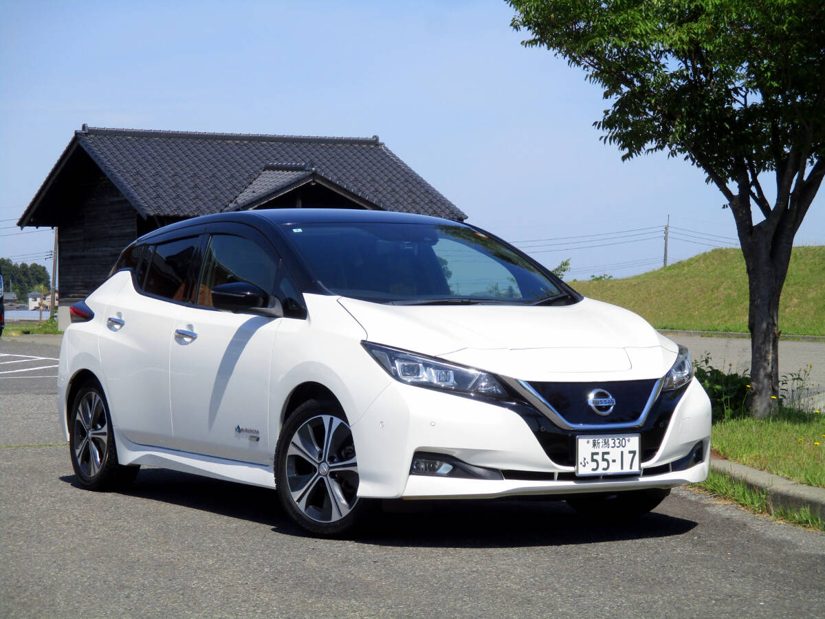 ■ZE1リーフG/1オナDメンテ極美■12セグ航続250km■車検R9年2月/本革/BOSE/LEDライト/プロパイロット/ARVモニター/インテリミラー/新潟■拍卖
