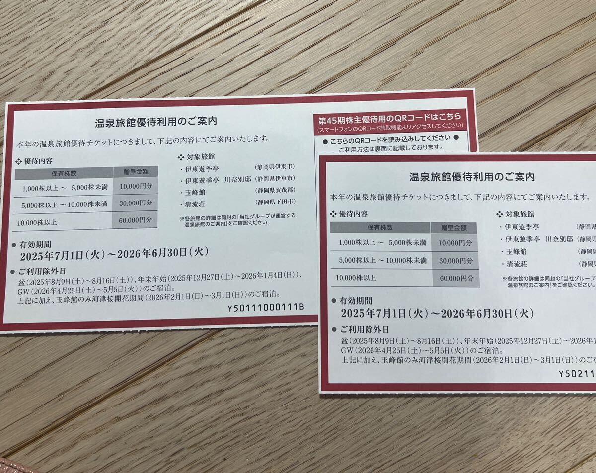 FJネクストホールディングス 株主優待 「温泉旅館優待券」10,000円分(コード通知)拍卖
