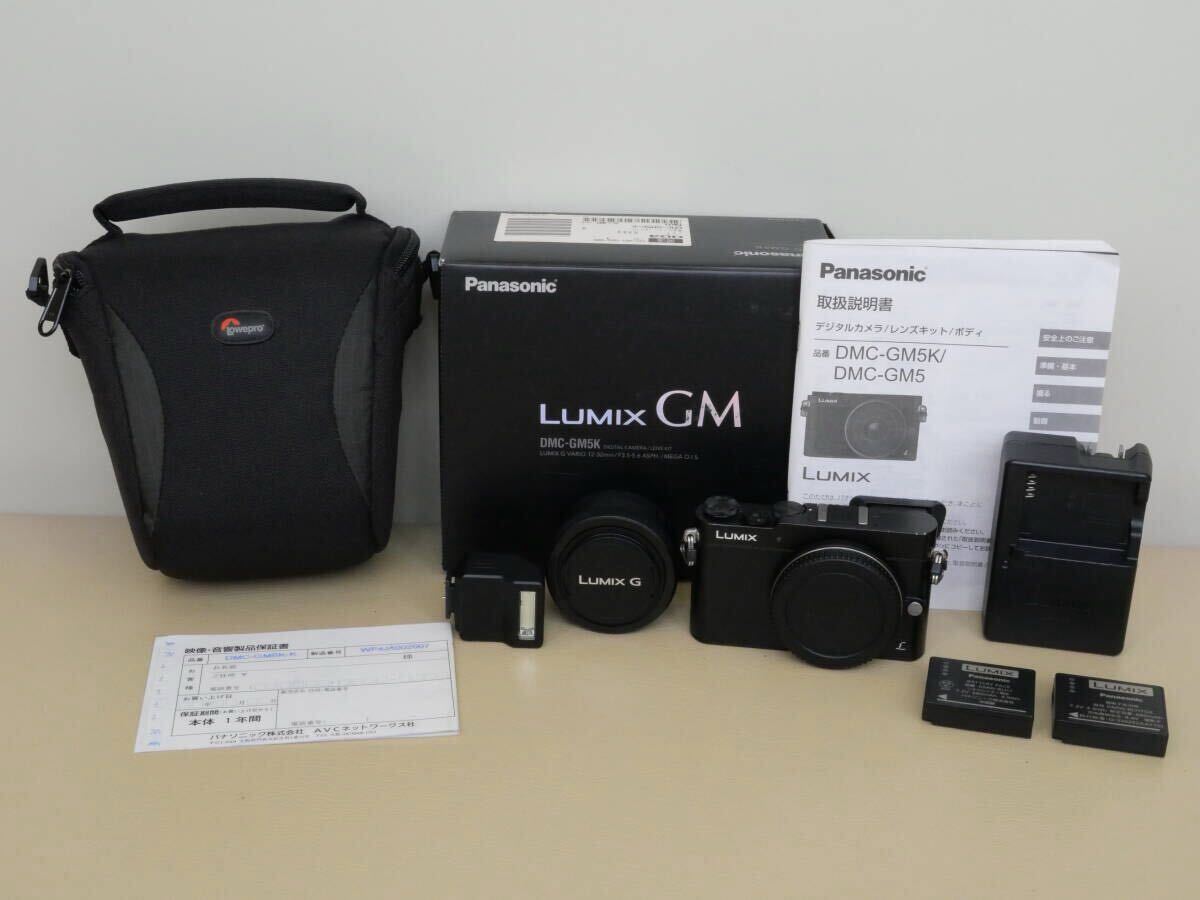 ◎中古 コンディション良好 Panasonic LUMIX DMC-GM5 K-K (標準ズームレンズキット ブラック)拍卖