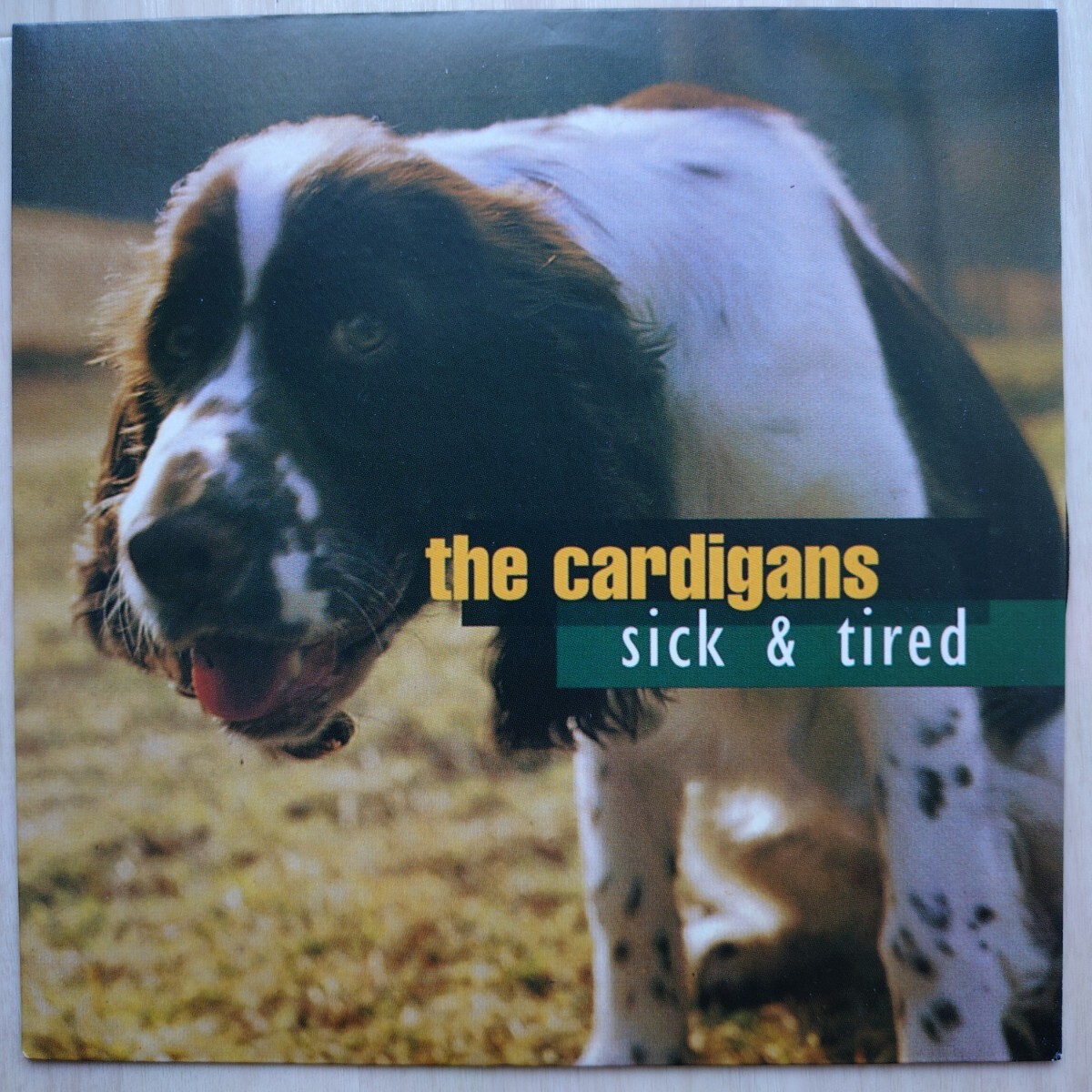 The Cardigans sick & tired カーディガンズ シック・アンド・タイアード Trampolene PO336 853 754-7 UKオリジナル盤拍卖