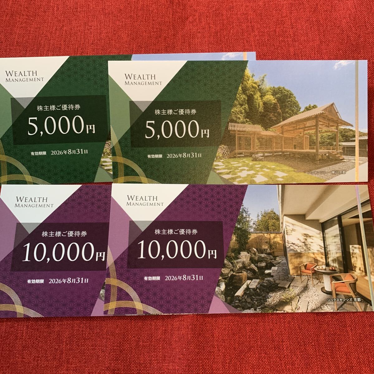 ゆうパケット送料無料ウェルスマネジメント 株主優待券10000円×2枚+5000円×2枚 20260831拍卖
