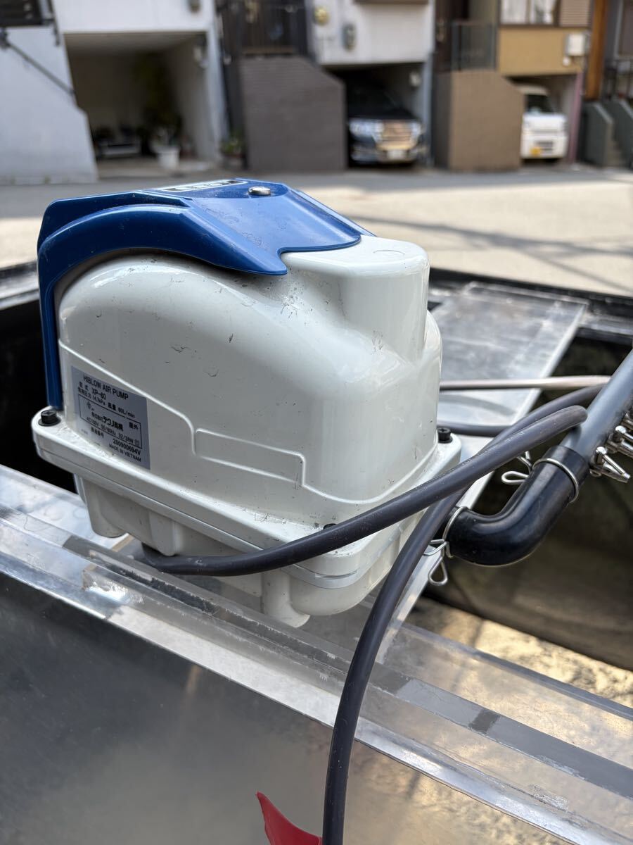 エアーポンプ!テクノ高槻 XP-60 ブロワー 100V PUMP 大型水槽用 大型魚 アクリル水槽に拍卖