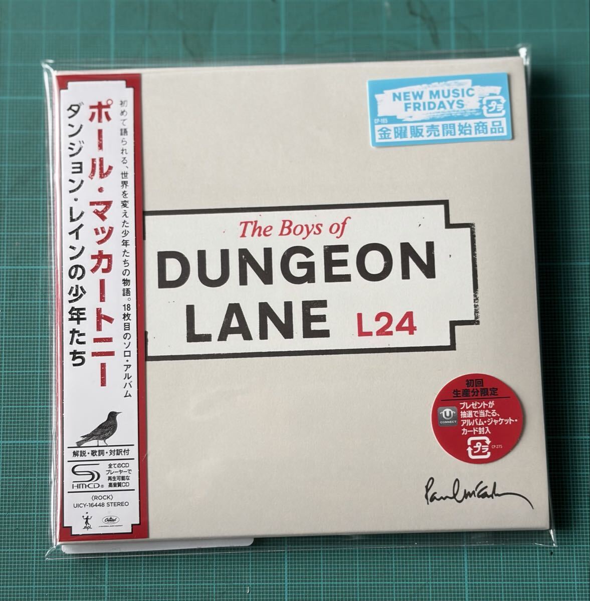 ほぼ新品 国内盤 Paul McCartney / The Boys of DUNGEON LANE / ポール・マッカートニー拍卖