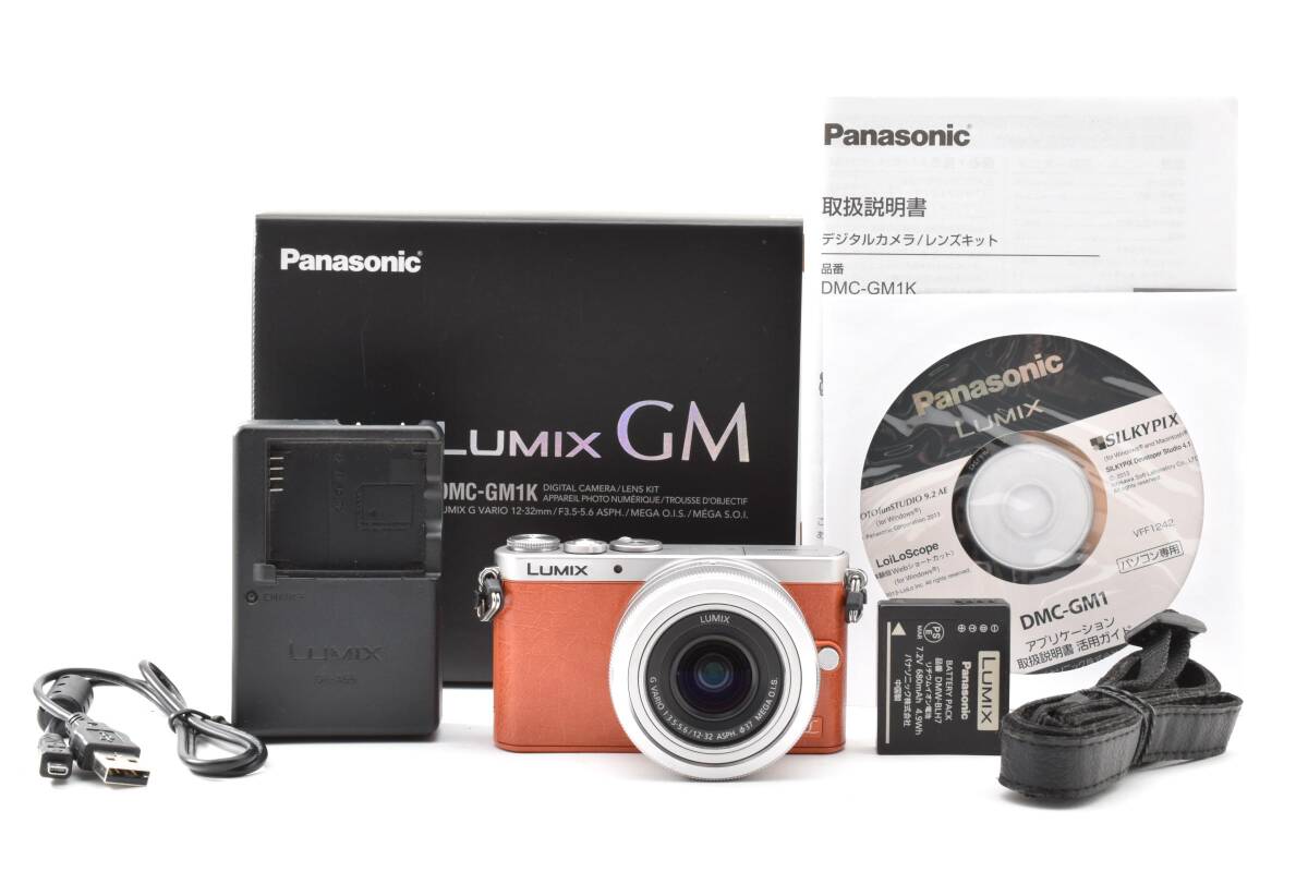 パナソニック PANASONIC DMC-GM1 ボディ ミラーレス一眼カメラ レンズキット ♯4978拍卖