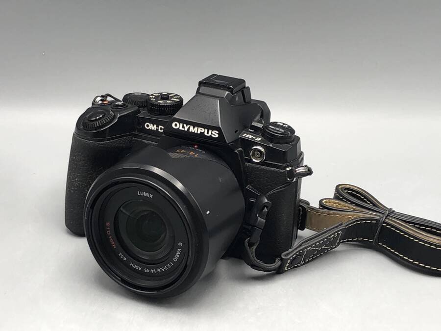 OLYMPUS OM-D E-M1 Panasonic LUMIX G.VARIO 1:3.5-5.6 14-45mm ASPH. ミラーレス一眼レフカメラセット■一部保証品拍卖