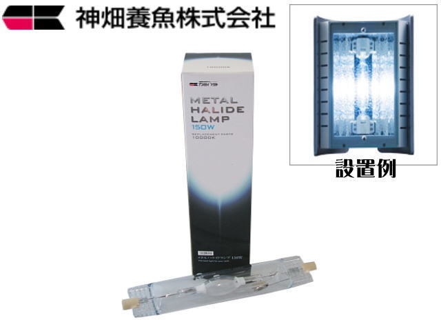 ファンネル2 150W 10000k 交換球 カミハタ メタルハライドランプ ファンネル メタハラ交換球 スリムライン拍卖