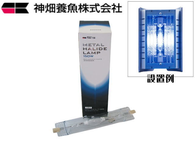 ファンネル2 150W 20000k 交換球 カミハタ メタルハライドランプ ファンネル メタハラ交換球 スリムライン拍卖