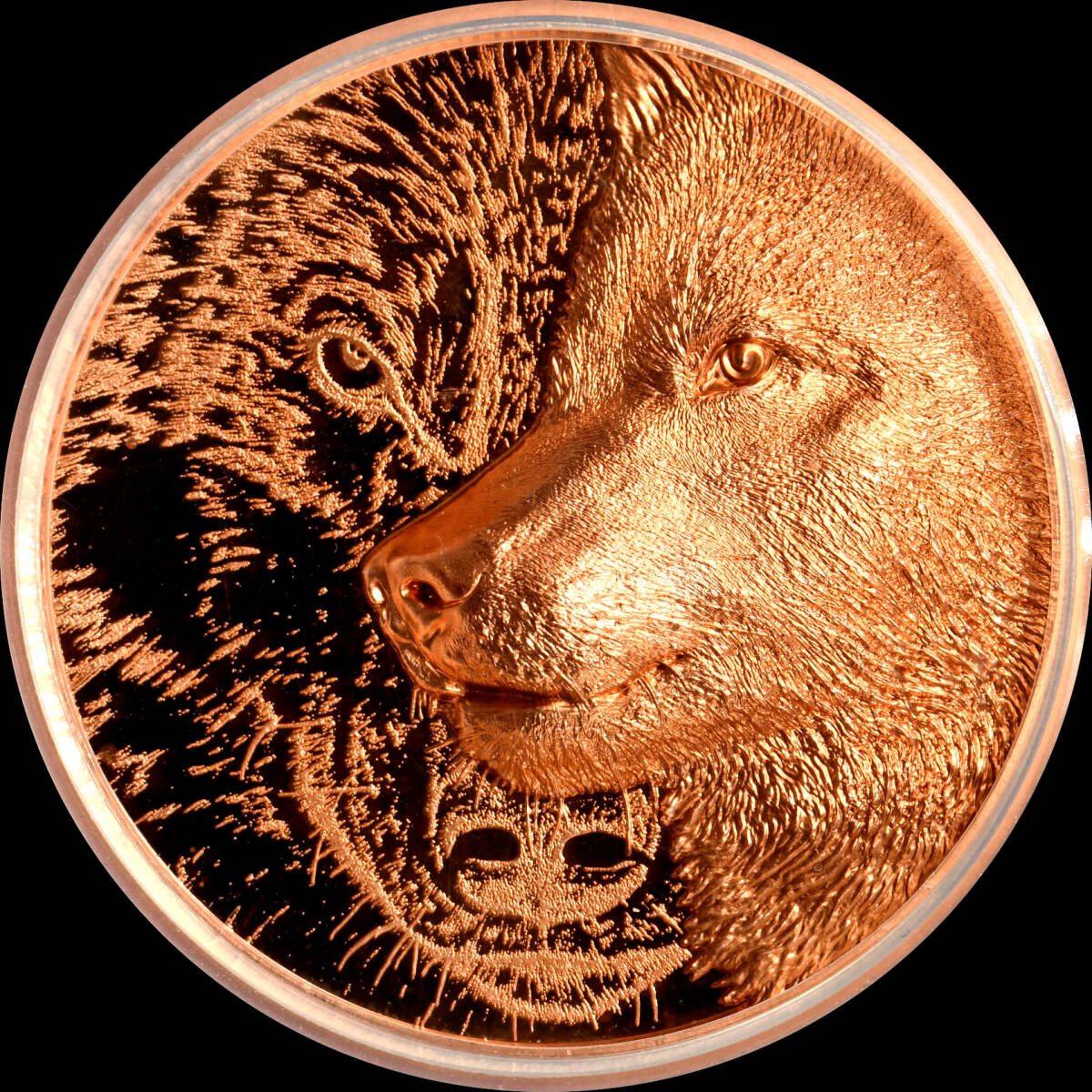 ★日終【PCGS PR69DCAM P社準最高 発行5000枚 厚型ケース】2021 モンゴル 250Tug ミスティック・ウルフ ハイレリーフ【決済期限火曜日】拍卖