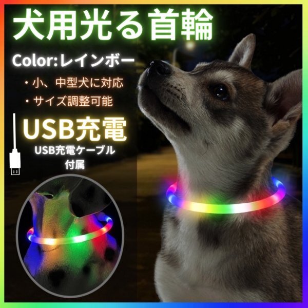 首輪 犬 光る レインボー おしゃれ 散歩 LEDライト USB充電 安全 夜拍卖