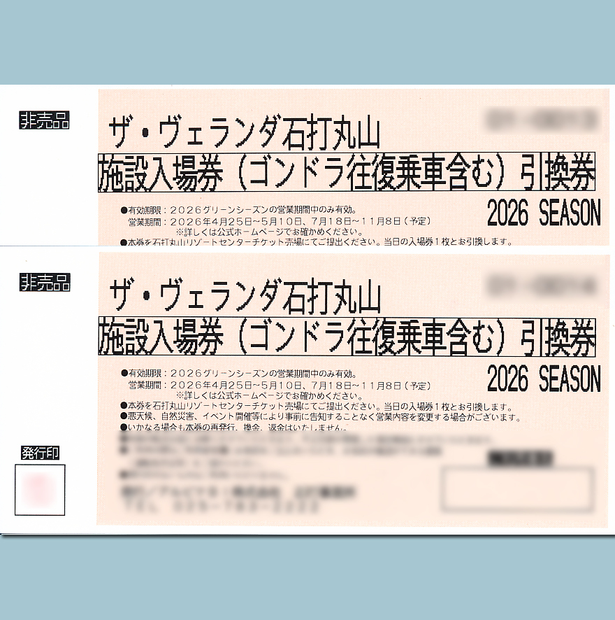 ペア引換券★新潟県南魚沼【ザ・ヴェランダ石打丸山】施設入場券+ゴンドラ往復乗車券 2026グリーンシーズン拍卖