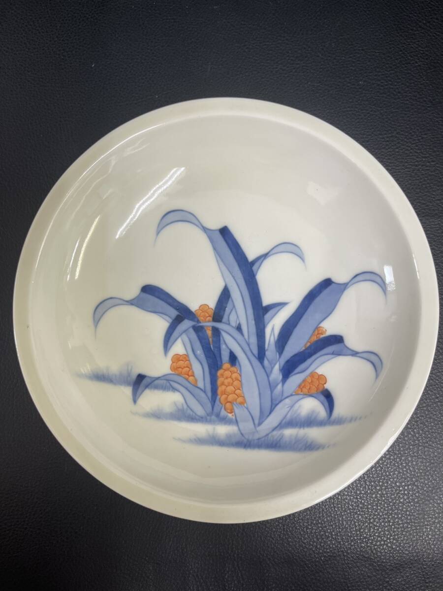 JS312 色絵万年青 特徴 献上鍋島焼 櫛歯文様 藍色(染付)橙色(赤絵)2色 直径20cm拍卖
