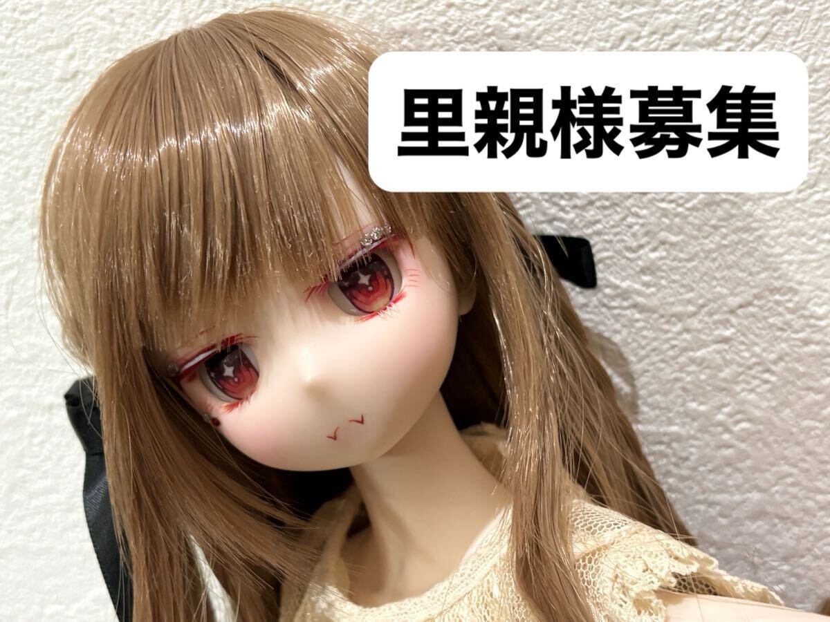 再出品なし 里親様募集 ボークス DDHカスタムヘッド セミホワイト肌 MDD ドルフィードリーム 造形村173 ディーラー様製アイつき拍卖